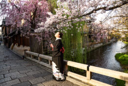 Japan_Sakura_2025 (77/79)